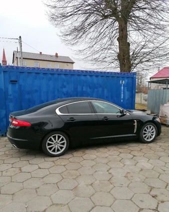 Jaguar XF cena 55000 przebieg: 190000, rok produkcji 2009 z Lubraniec małe 172